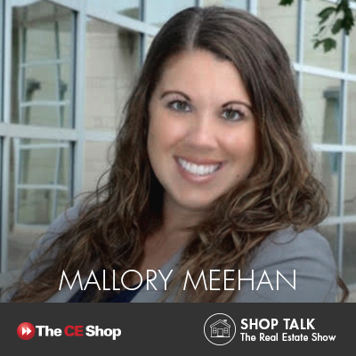 Mallory Meehan has a law and business background and teaches commercial real estate at Penn State.
