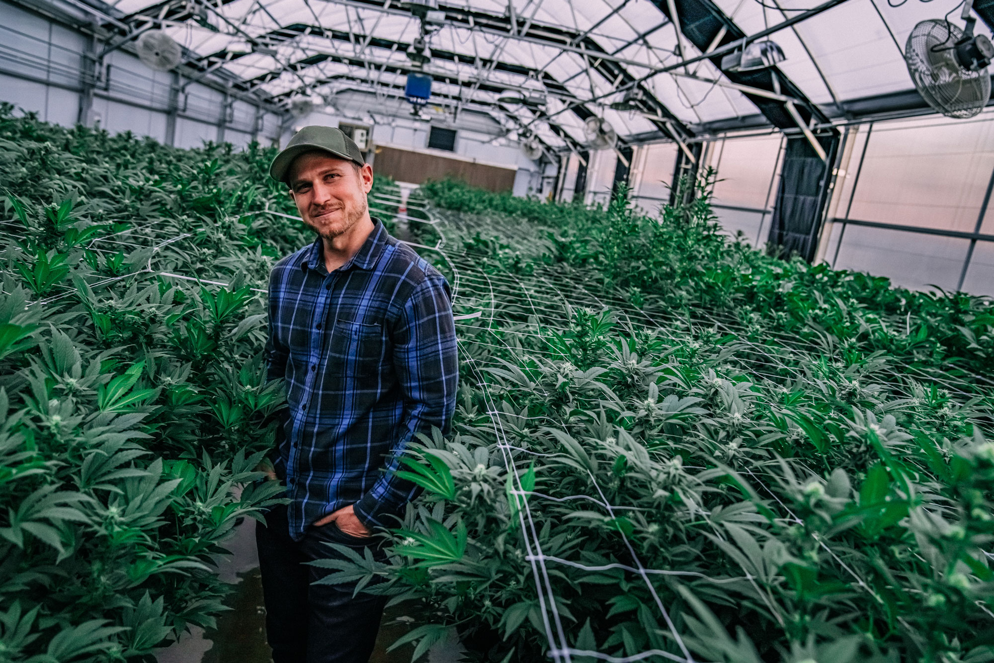 Marijuana’s Impact on Michigan Real Estate