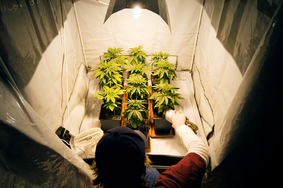 real-estate-and-marijuana