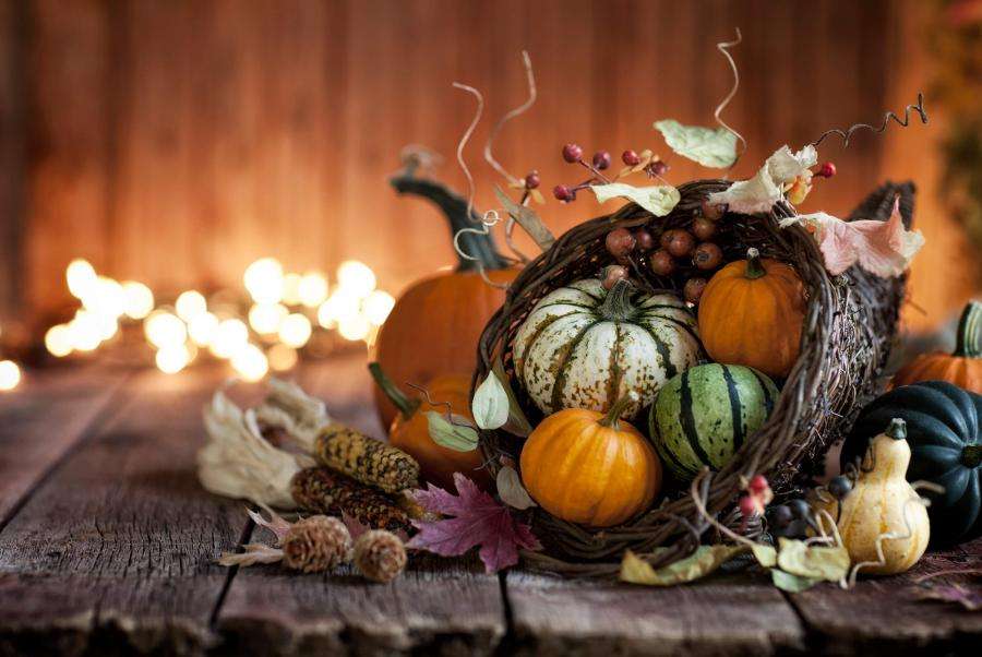  What are you thankful for this season?
