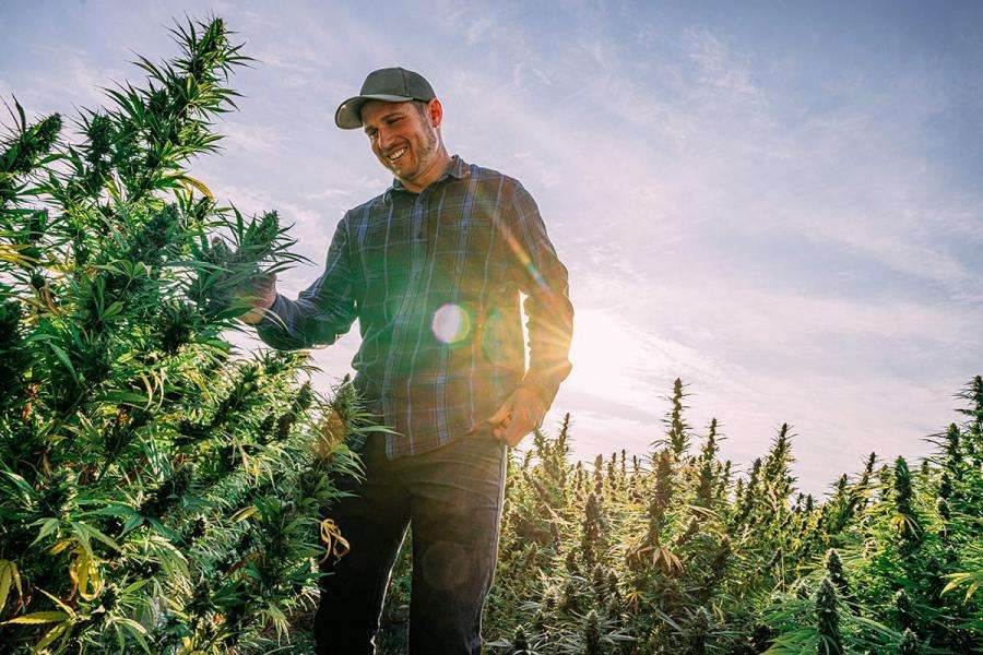 What Is the Impact of Marijuana on Real Estate?