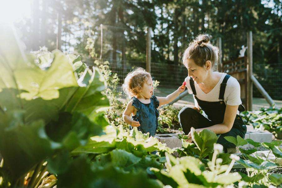 The 3 Outdoor Landscaping Projects With the Highest ROI