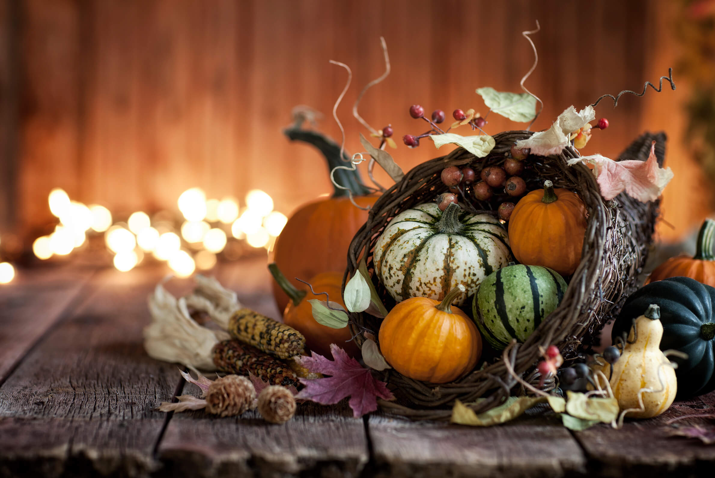  What are you thankful for this season?
