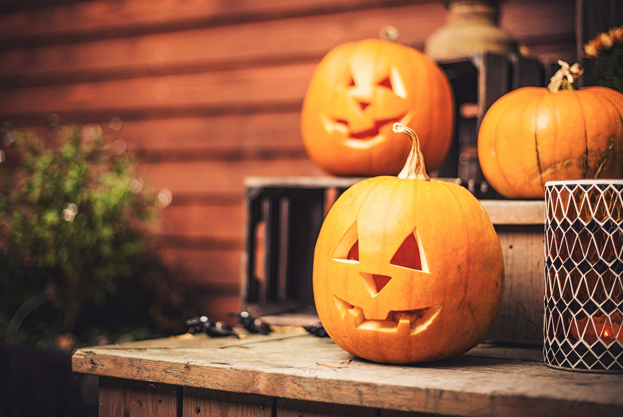 Tips and tricks to keep your house appealing over the holidays.