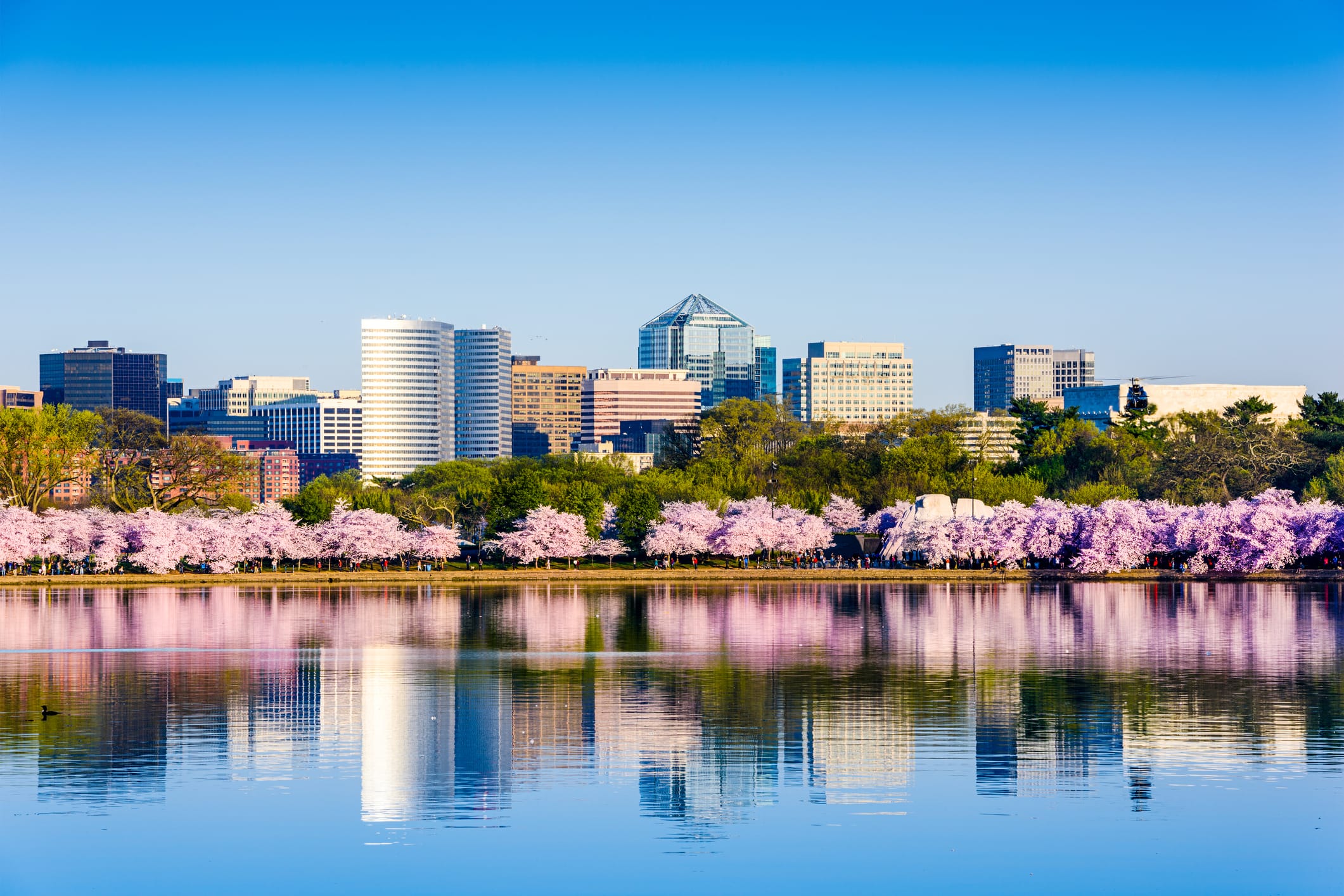 We break down how quickly you can get your Virginia real estate license thanks to The CE Shop’s award-winning education.