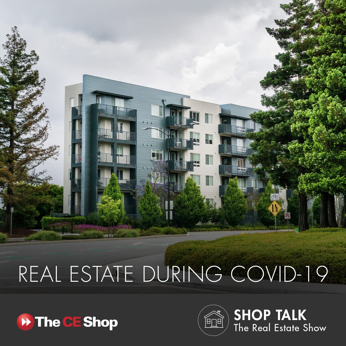 Questions Surrounding COVID-19