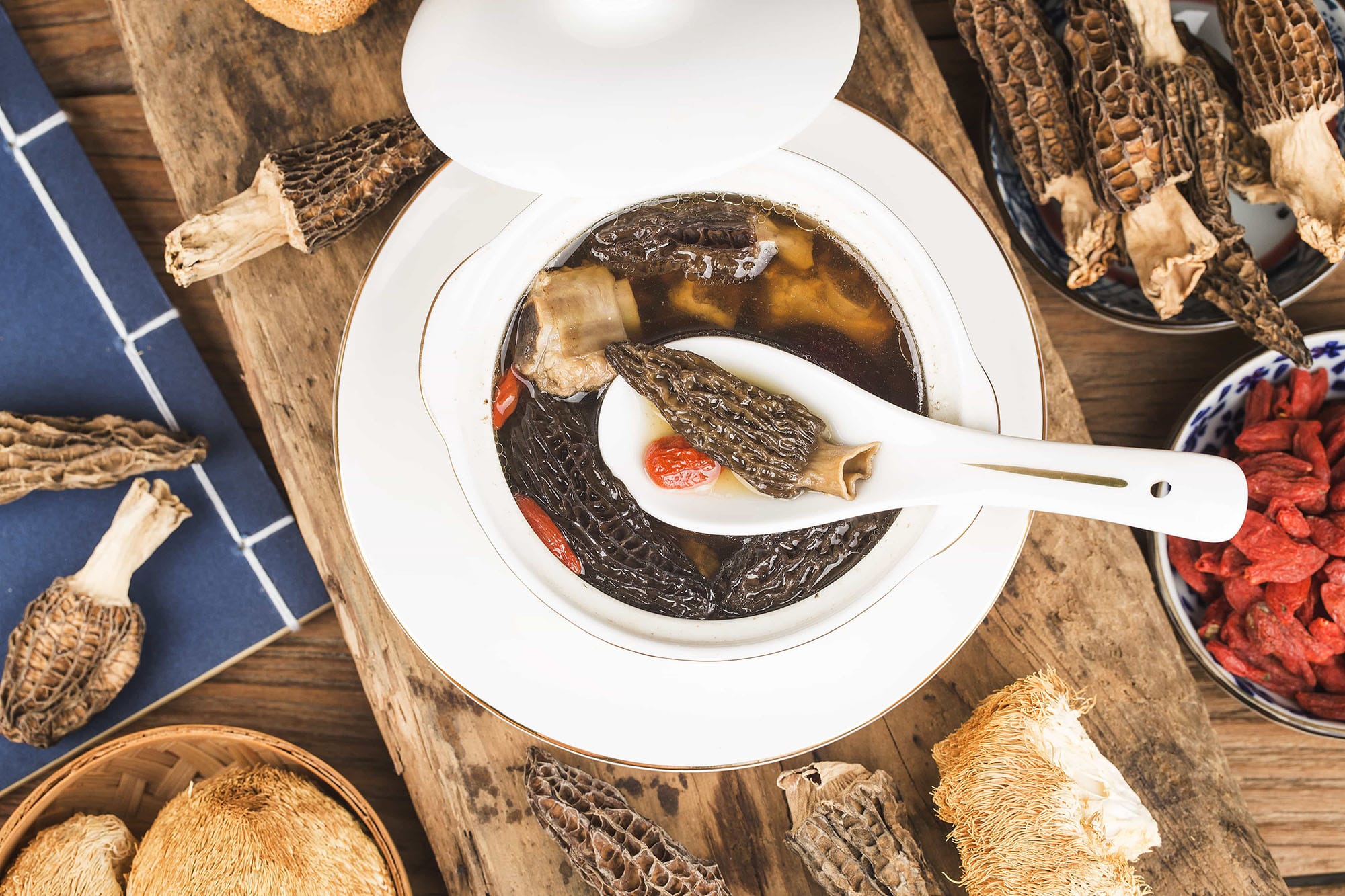 How to Hunt Minnesota Morel Mushrooms