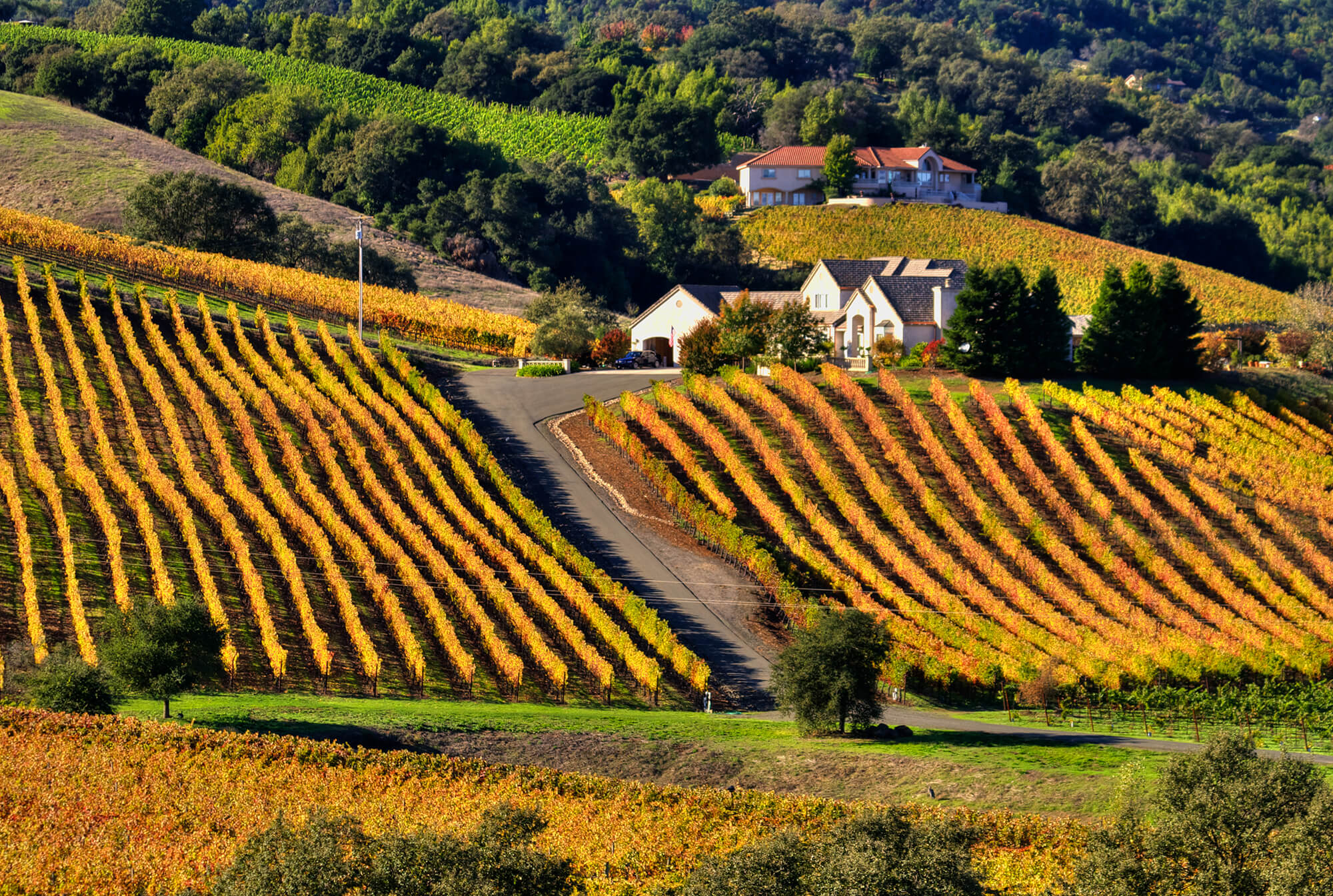 Harness the Power of Fall to Sell Northern California Homes This Season