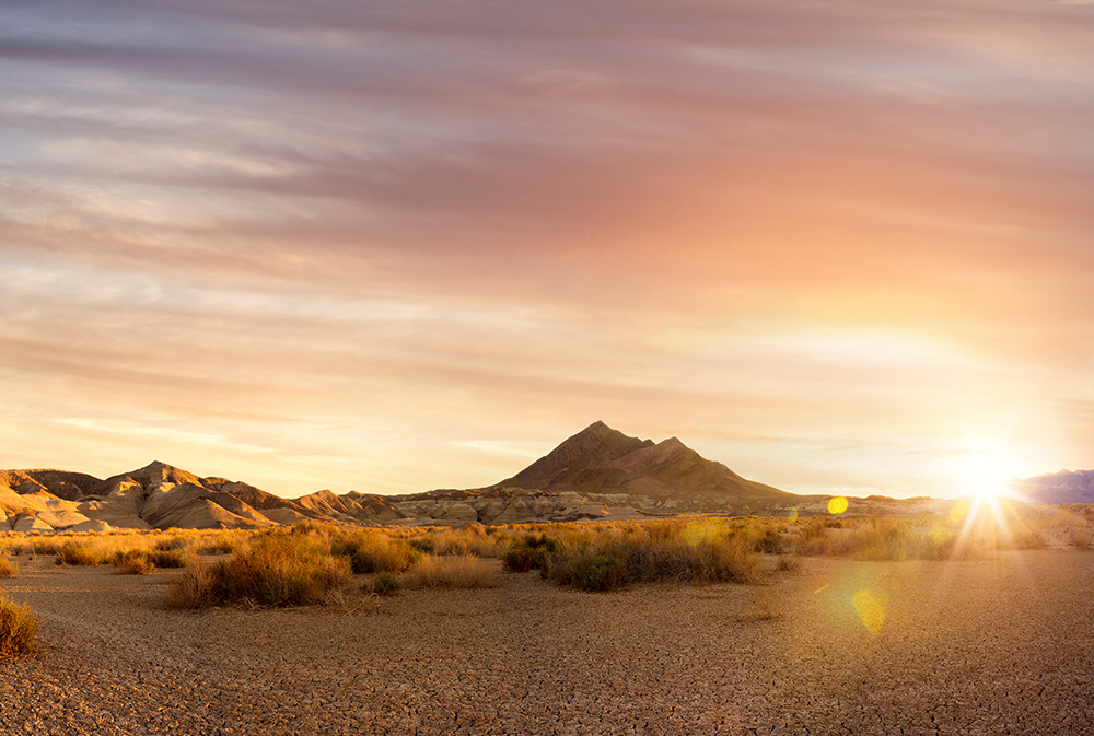 2021: What to Expect in the Nevada Real Estate Market