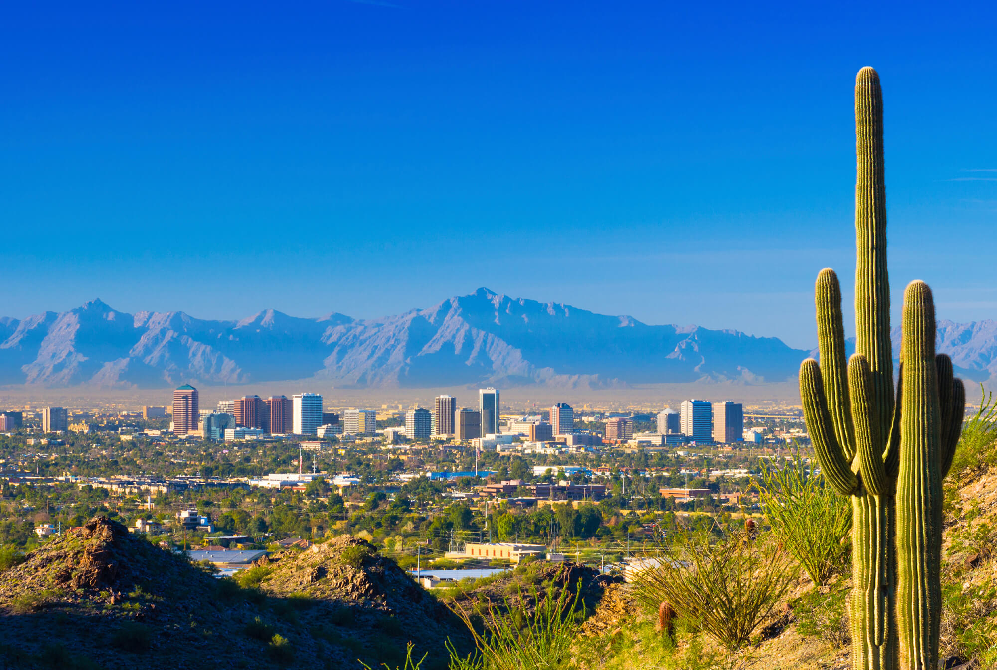 2021: What to Expect in the Arizona Real Estate Market