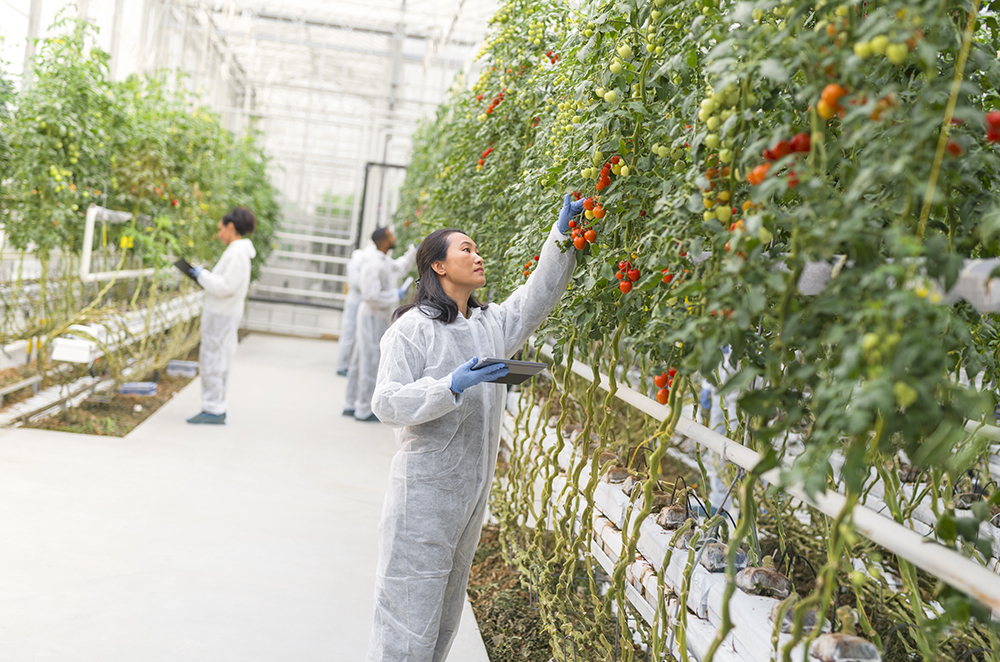 Agriculture-Focused Women Grow South Carolina Communities
