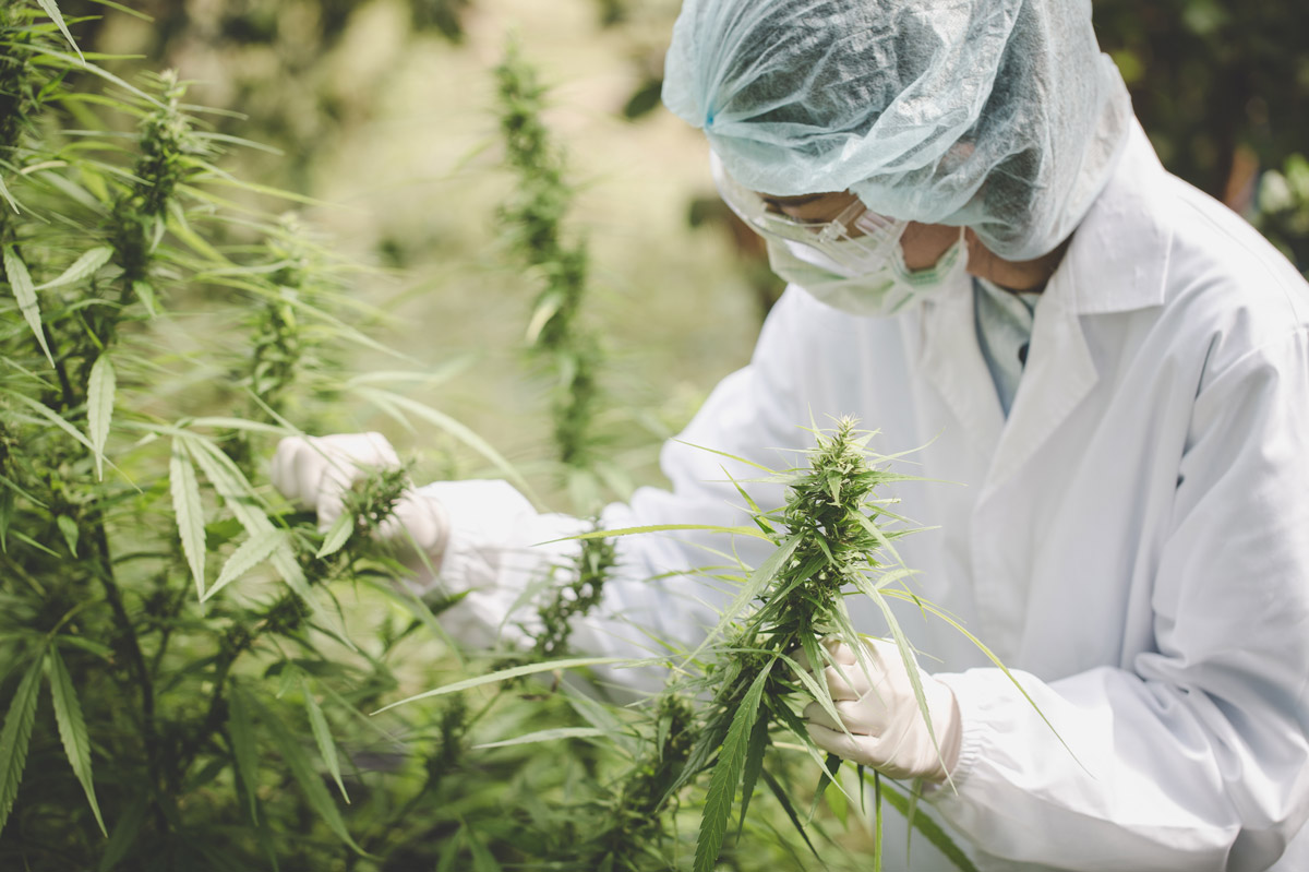 Legal Weed: New High for Georgia Real Estate?