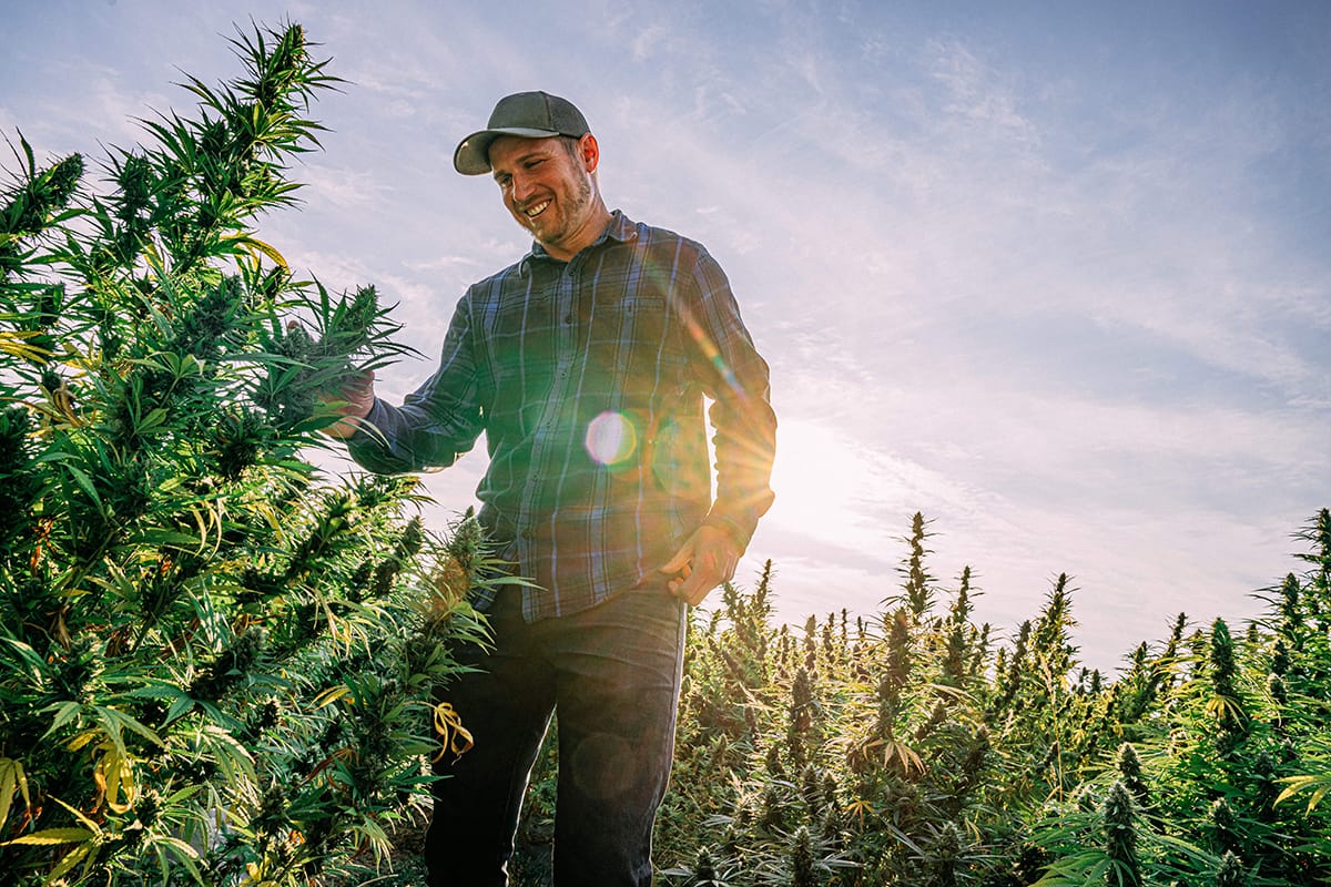 What Is the Impact of Marijuana on Real Estate?