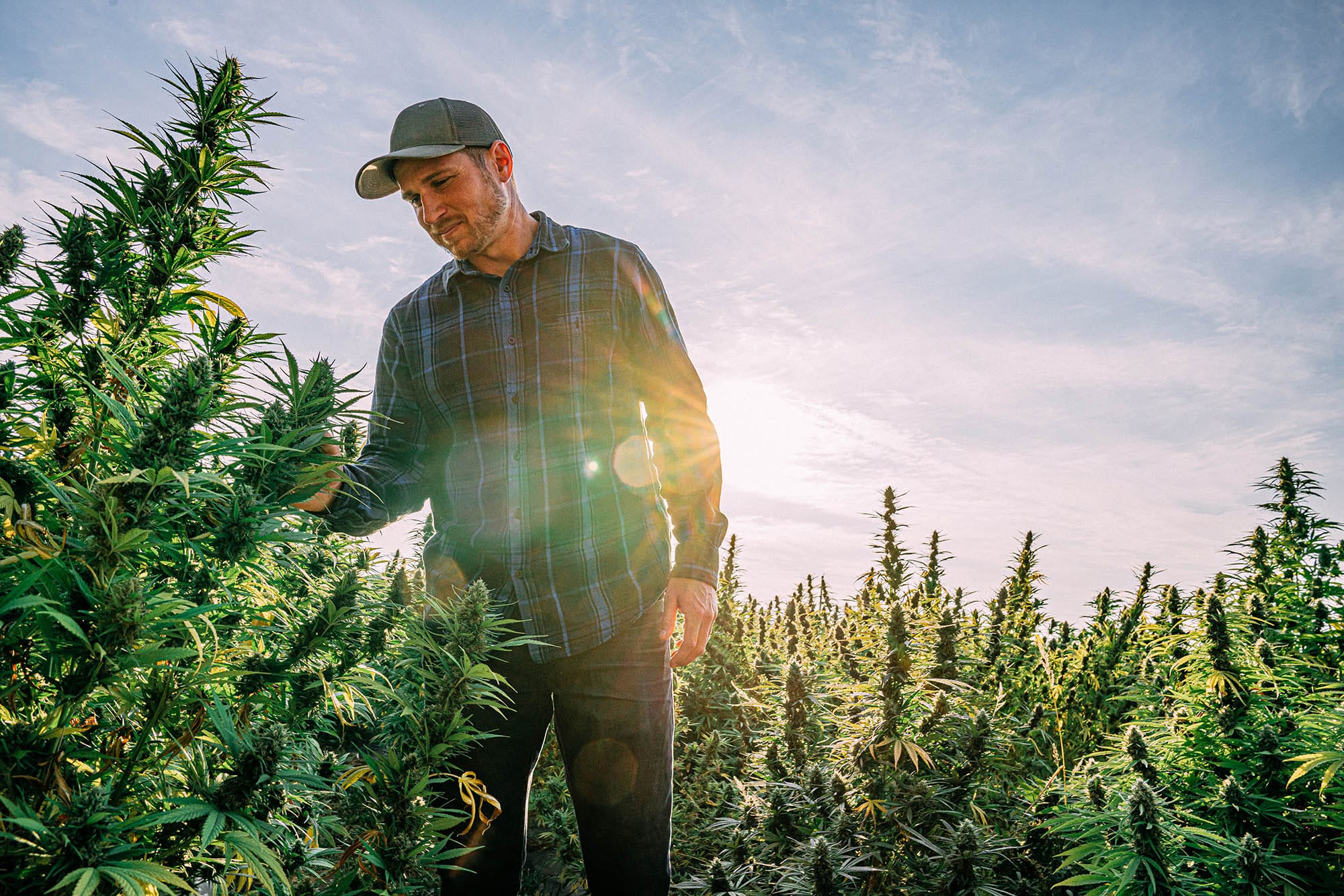 Oklahoma: The Country's Next Biggest Weed Boom