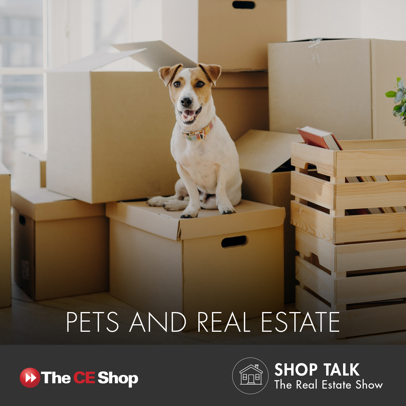 Episode 67: Pets and Real Estate
