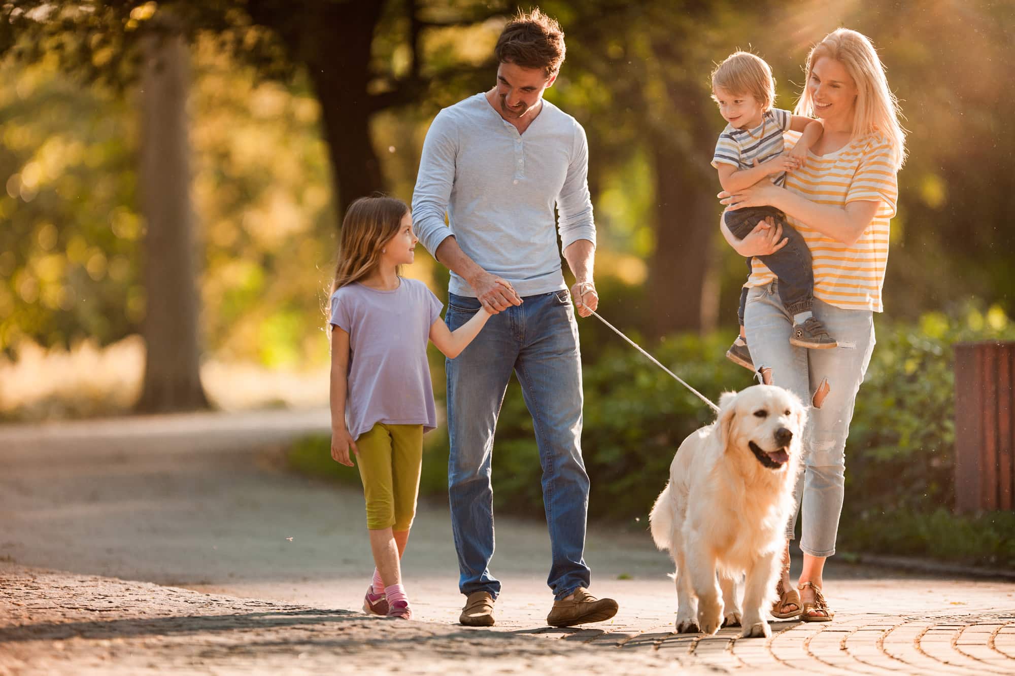 Top 5 Dallas Dog Breeds & Their Ideal Real Estate Fit
