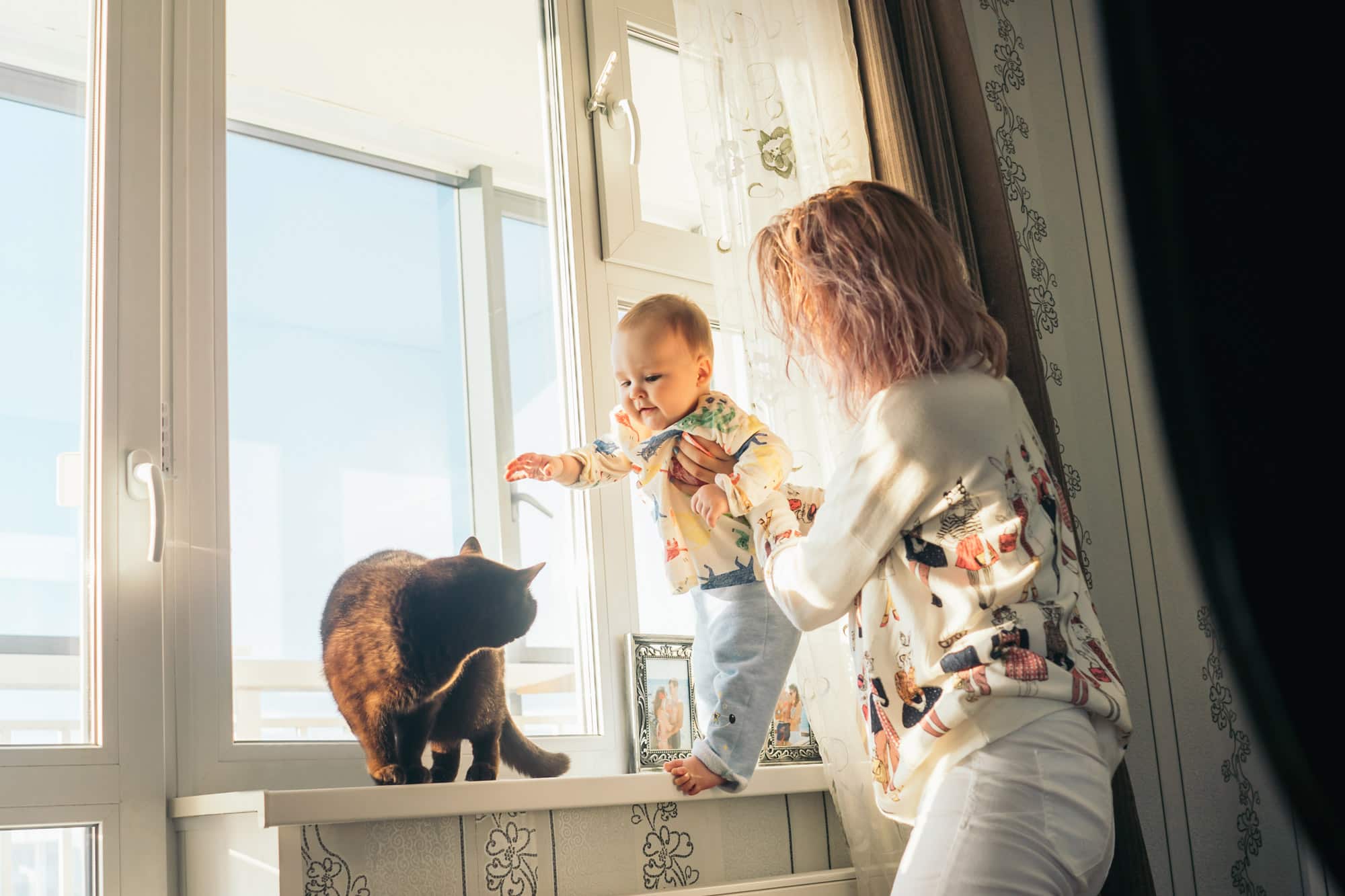Pet-Friendly Real Estate Is Abundant in Arkansas