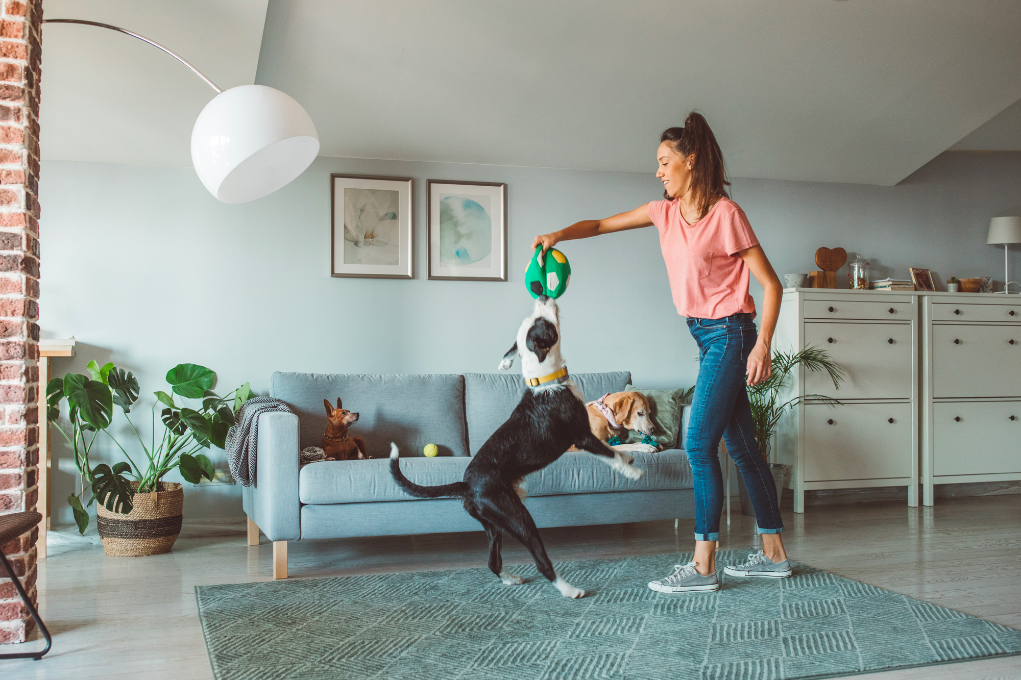 Indiana Ranks as One of the Most Pet-Friendly States