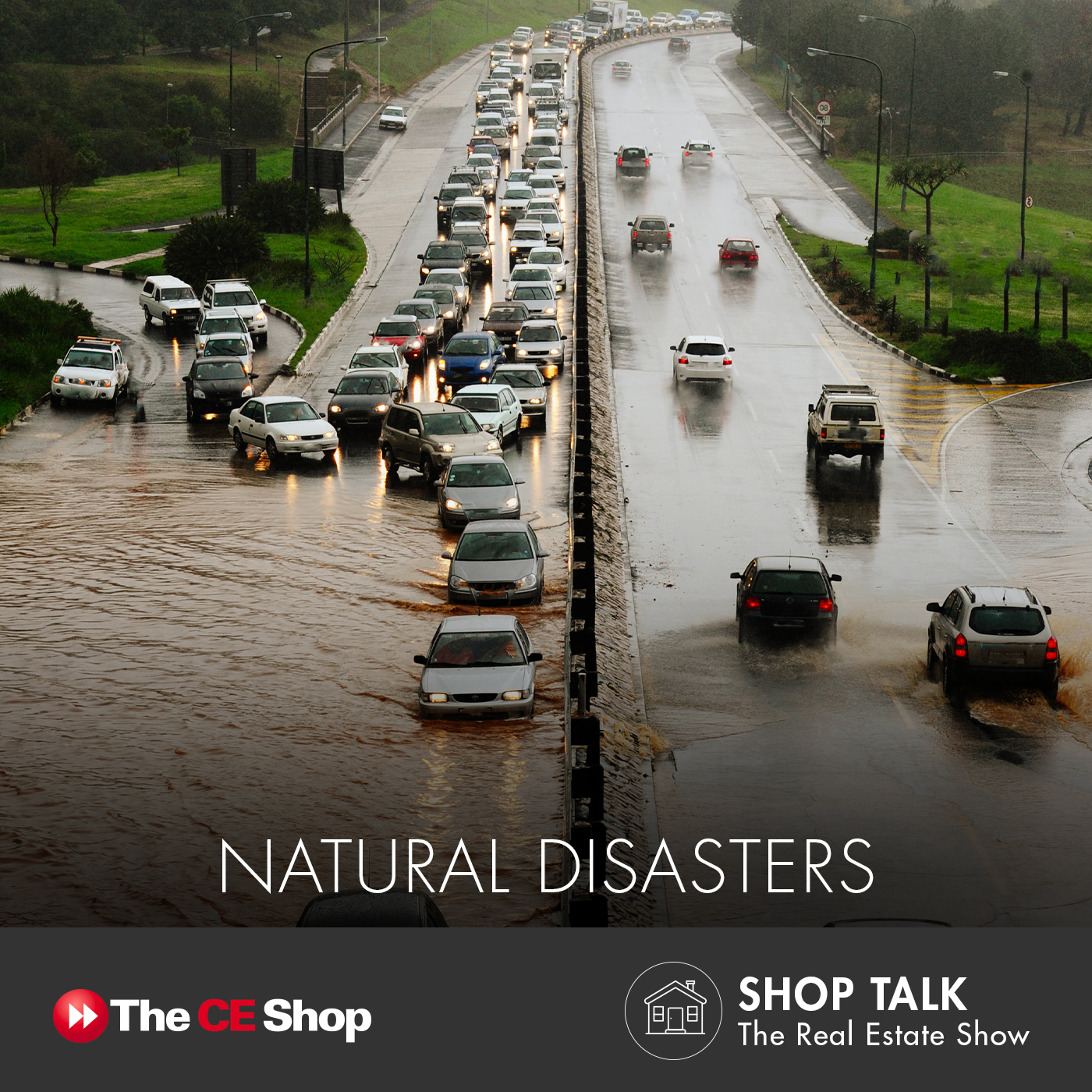Episode 73: Natural Disasters