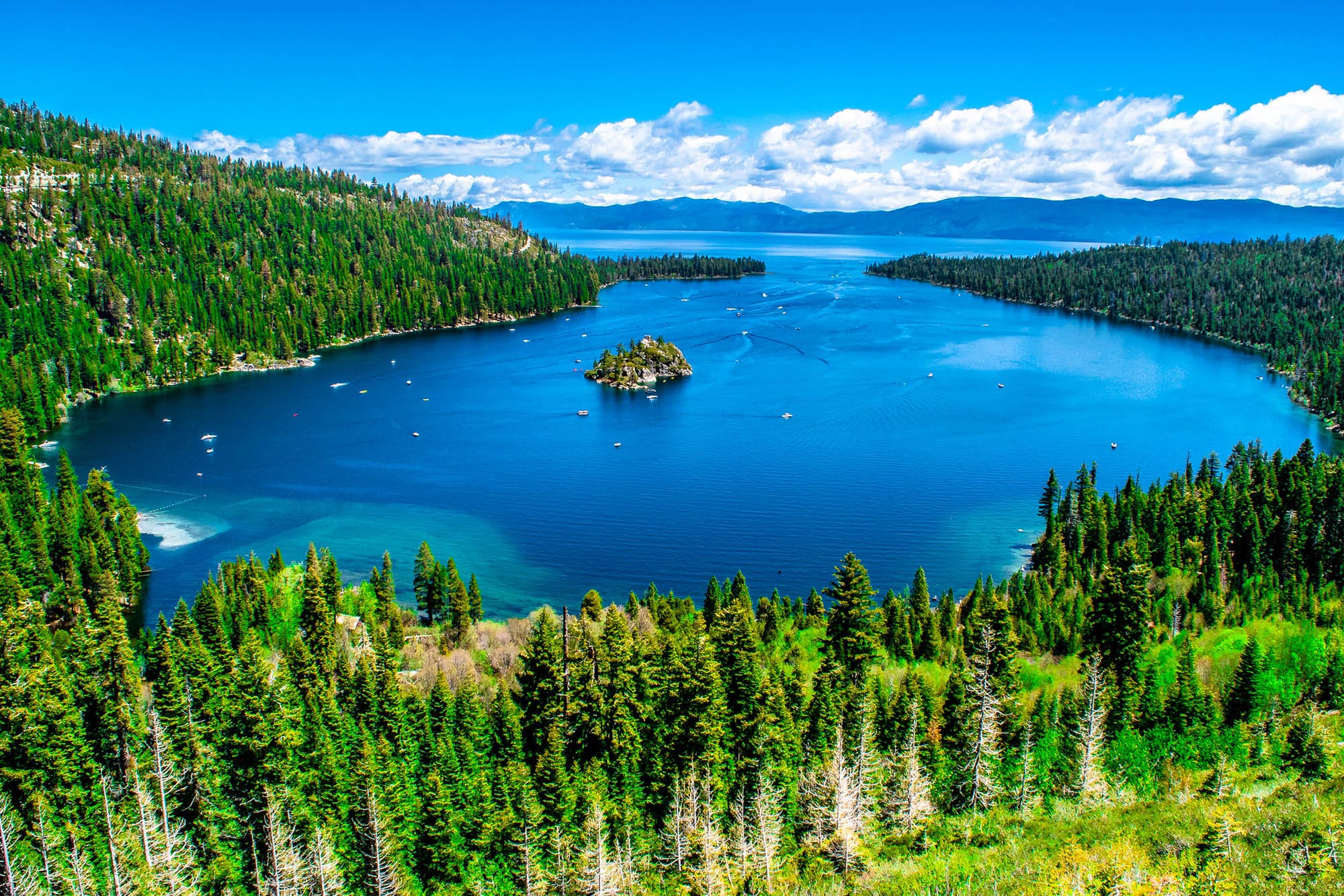 Lake Tahoe’s Tessie: California’s Loch Ness Monster