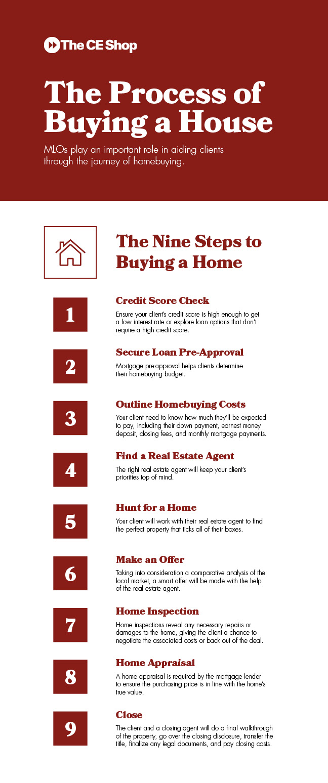 MLO infographic