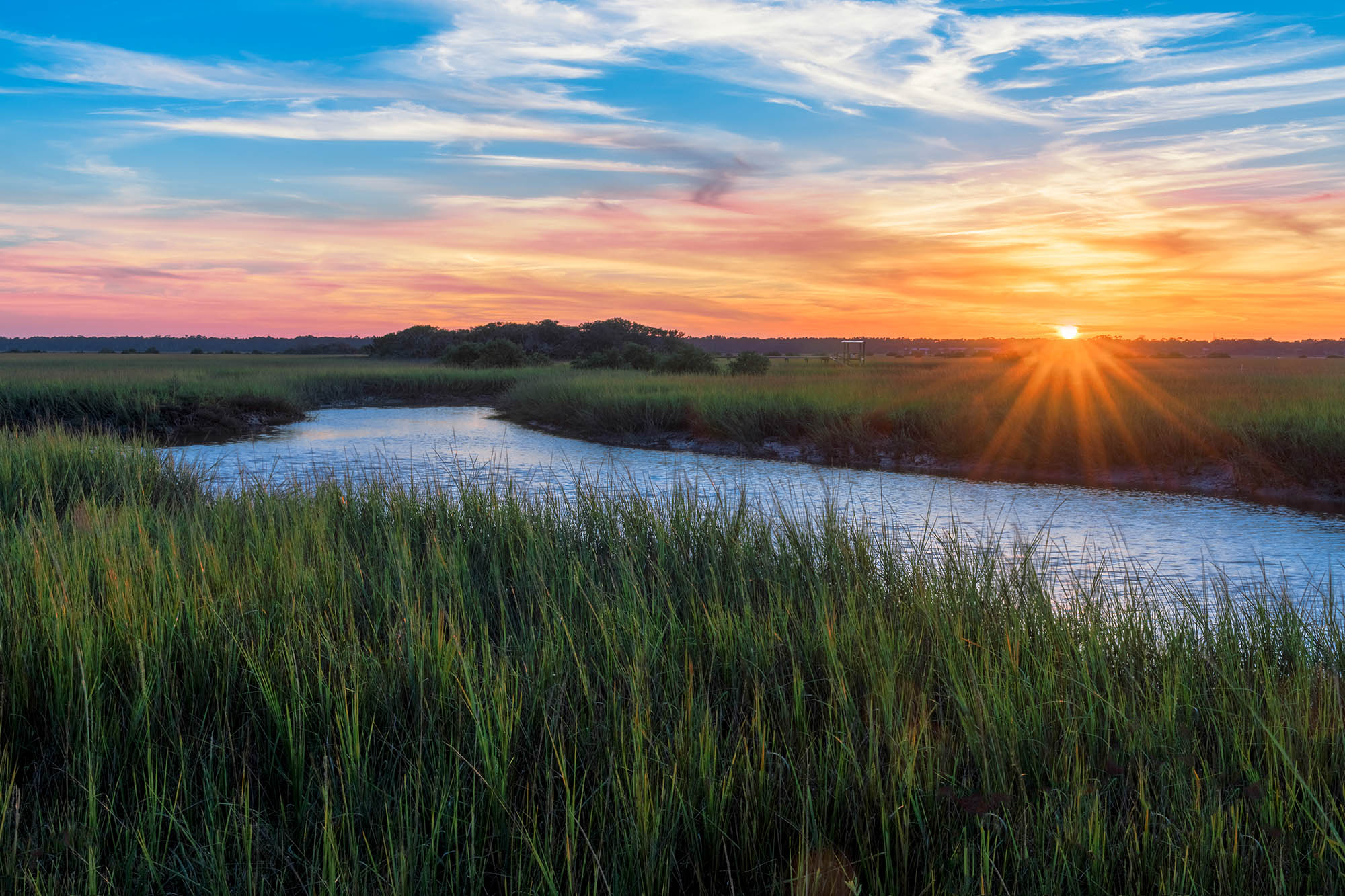 Finding Your Niche: Buying and Selling Land in Florida