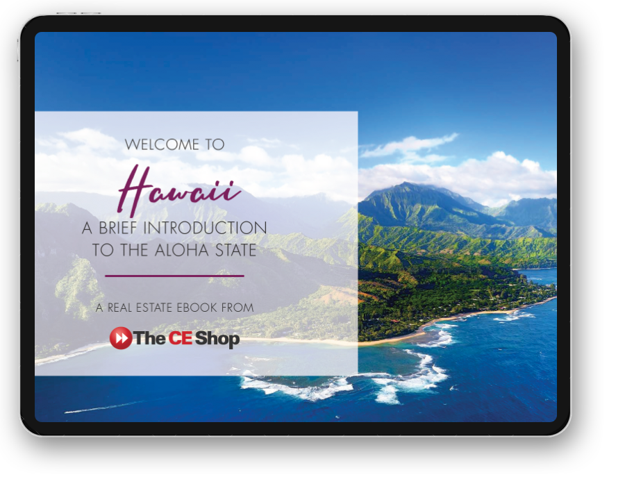 Ebook cover