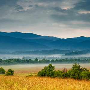 Tennessee Affiliate Broker