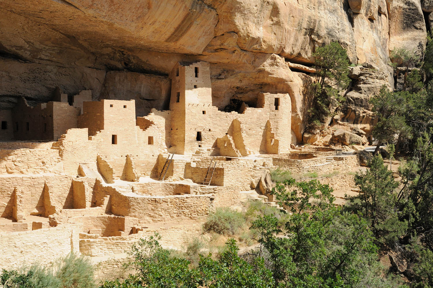 Colorado’s Mesa Verde Cliff Palace Is a Historic Wonder