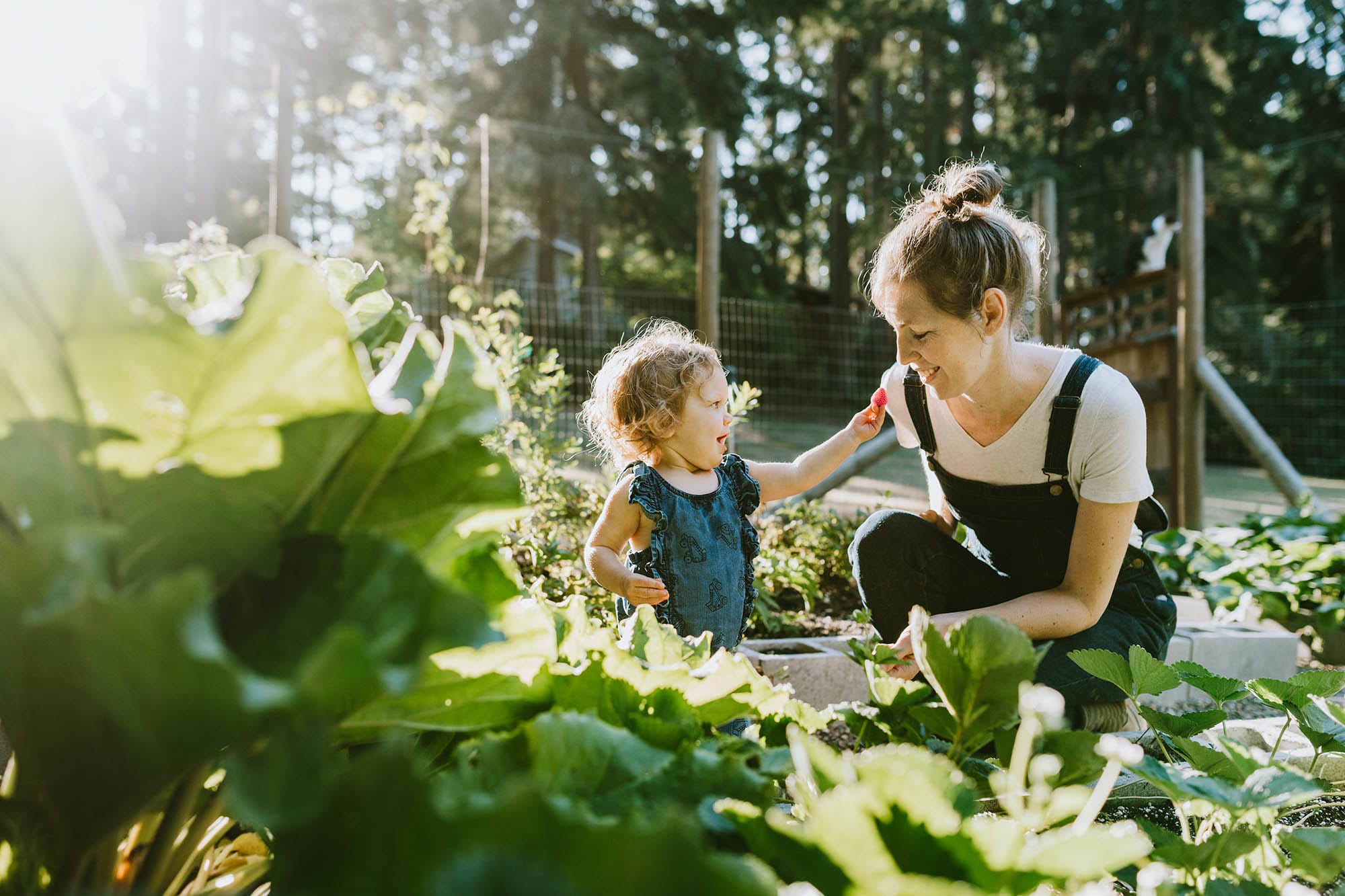 The 3 Outdoor Landscaping Projects With the Highest ROI