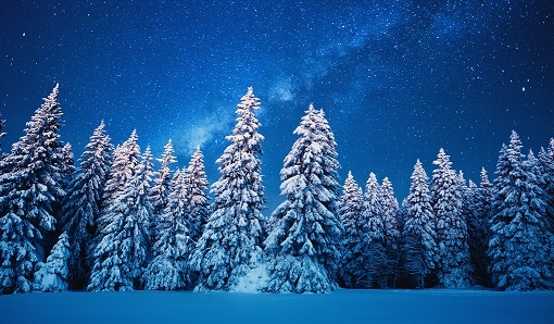 staging-home-for-holidays-ce-shop-header.jpg
