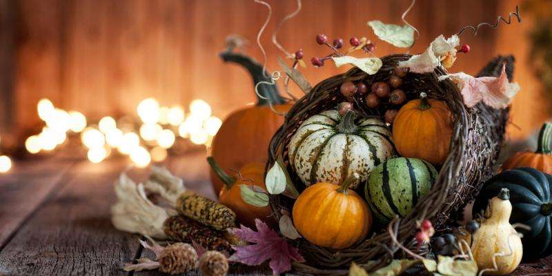  What are you thankful for this season?