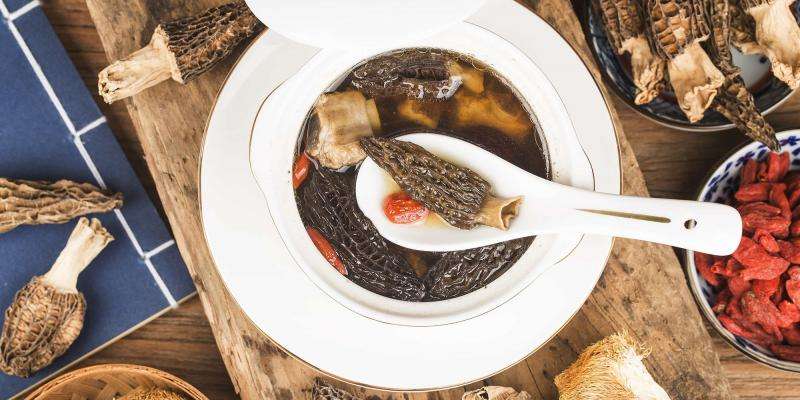 How to Hunt Minnesota Morel Mushrooms