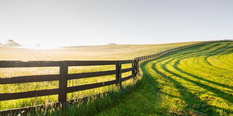 Welcome to Kentucky: An Introduction to the Bluegrass State