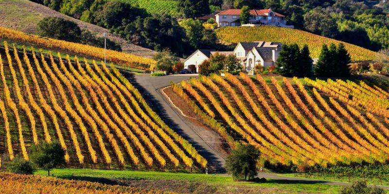Harness the Power of Fall to Sell Northern California Homes This Season