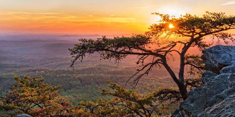 Welcome to Alabama: A Brief Introduction to the Yellowhammer State