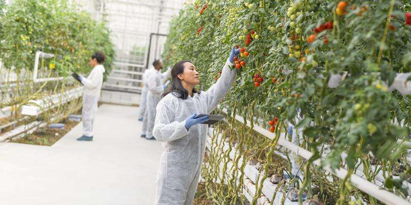 Agriculture-Focused Women Grow South Carolina Communities