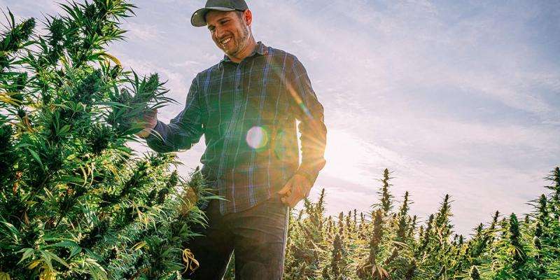 What Is the Impact of Marijuana on Real Estate?