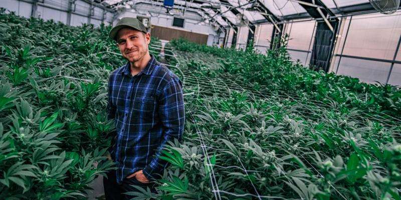 Marijuana’s Impact on Michigan Real Estate