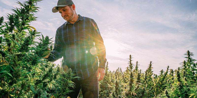 Oklahoma: The Country's Next Biggest Weed Boom