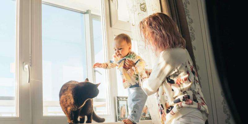 Pet-Friendly Real Estate Is Abundant in Arkansas