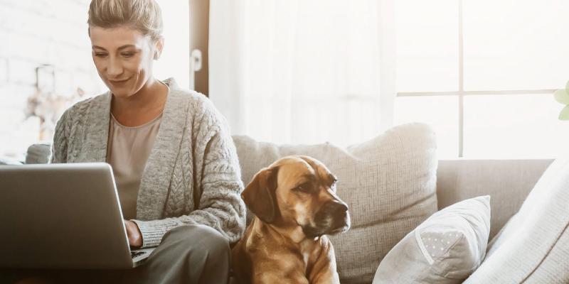 How to Help a Pet Owner Find Their Dream Home