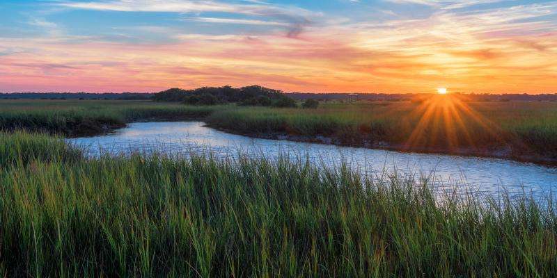 Finding Your Niche: Buying and Selling Land in Florida