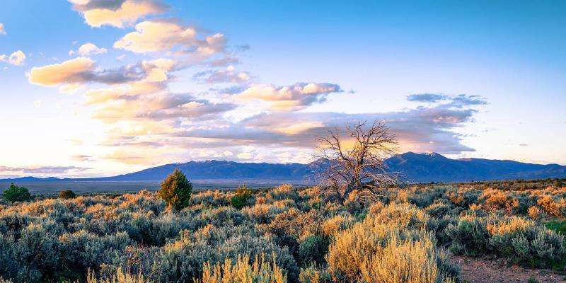 Finding Your Niche: Buying and Selling Land in New Mexico