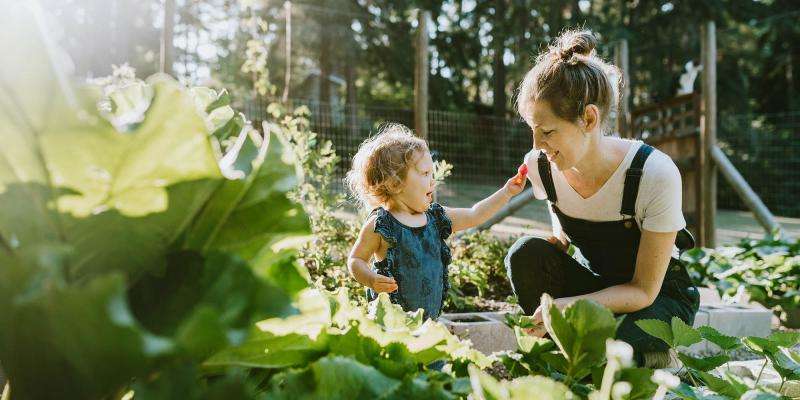 The 3 Outdoor Landscaping Projects With the Highest ROI