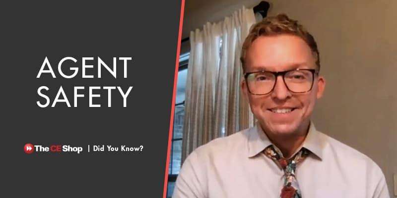 The Importance of Agent Safety